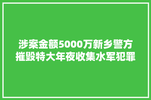 涉案金额5000万新乡警方摧毁特大年夜收集水军犯罪团伙