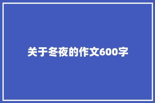 关于冬夜的作文600字