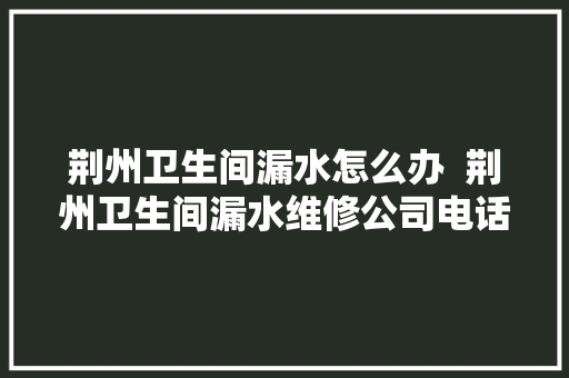 荆州卫生间漏水怎么办  荆州卫生间漏水维修公司电话