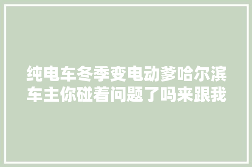 纯电车冬季变电动爹哈尔滨车主你碰着问题了吗来跟我们唠唠
