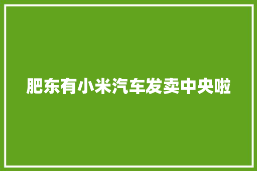 肥东有小米汽车发卖中央啦
