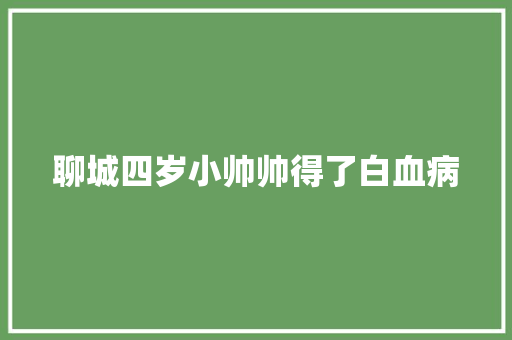 聊城四岁小帅帅得了白血病
