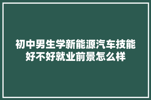 初中男生学新能源汽车技能好不好就业前景怎么样