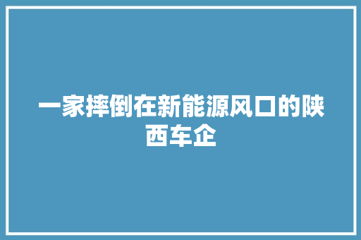 一家摔倒在新能源风口的陕西车企