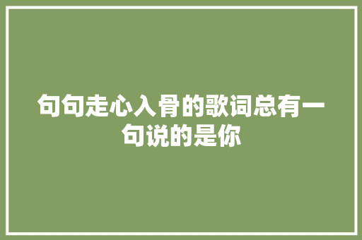 句句走心入骨的歌词总有一句说的是你