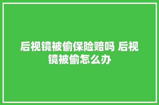 后视镜被偷保险赔吗 后视镜被偷怎么办