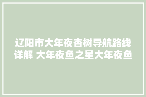 辽阳市大年夜杏树导航路线详解 大年夜鱼之星大年夜鱼之星的治愈系