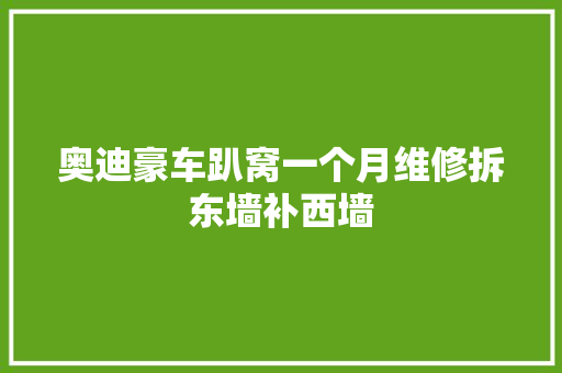 奥迪豪车趴窝一个月维修拆东墙补西墙