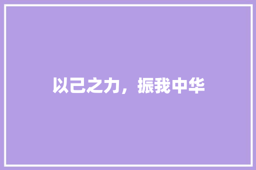 以己之力，振我中华