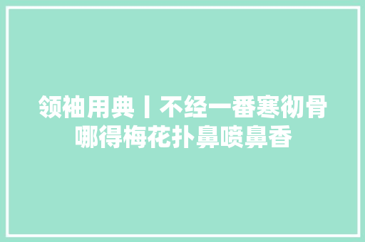 领袖用典丨不经一番寒彻骨哪得梅花扑鼻喷鼻香