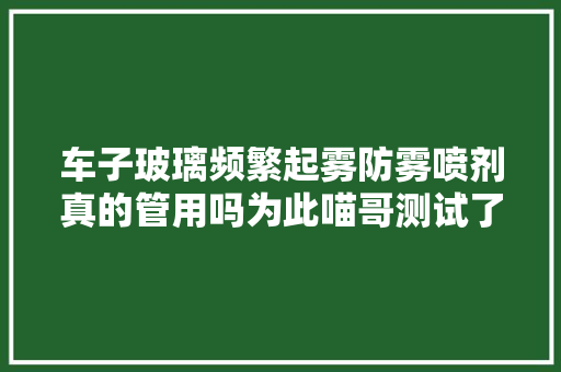 车子玻璃频繁起雾防雾喷剂真的管用吗为此喵哥测试了一个月