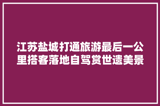 江苏盐城打通旅游最后一公里搭客落地自驾赏世遗美景