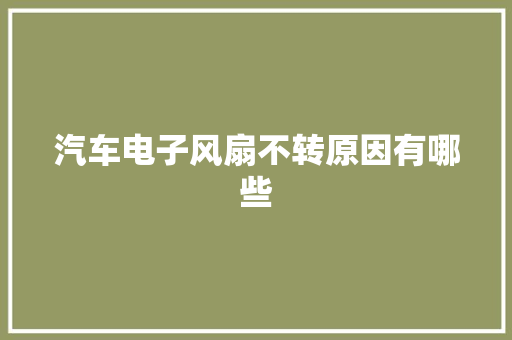 汽车电子风扇不转原因有哪些