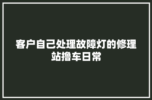 客户自己处理故障灯的修理站撸车日常