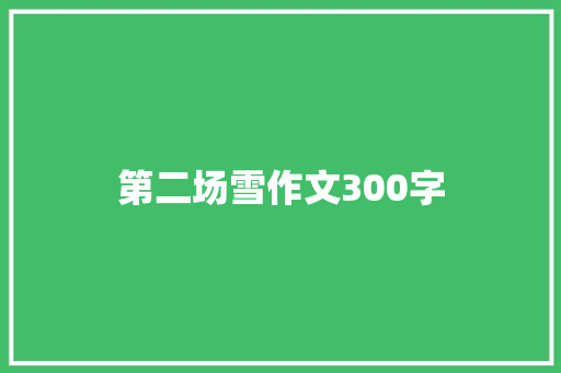 第二场雪作文300字