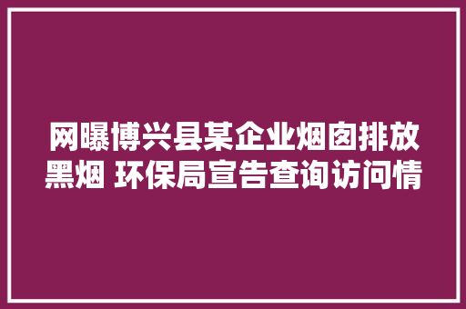 网曝博兴县某企业烟囱排放黑烟 环保局宣告查询访问情况说明