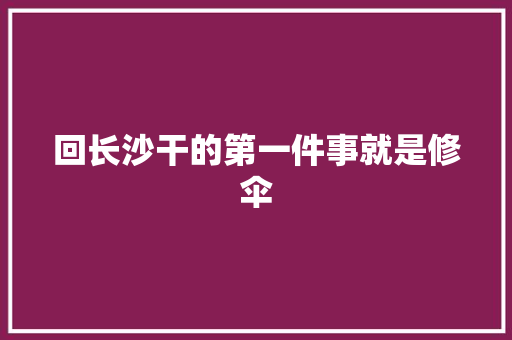 回长沙干的第一件事就是修伞