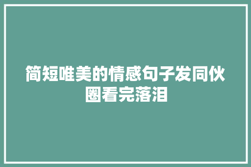 简短唯美的情感句子发同伙圈看完落泪