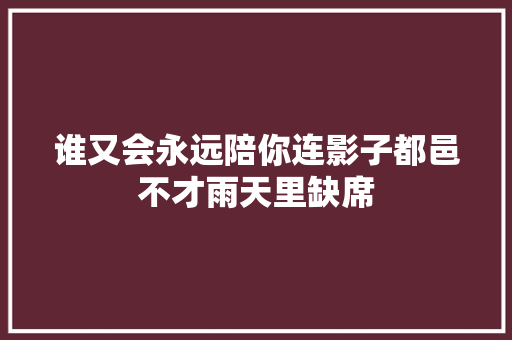 谁又会永远陪你连影子都邑不才雨天里缺席