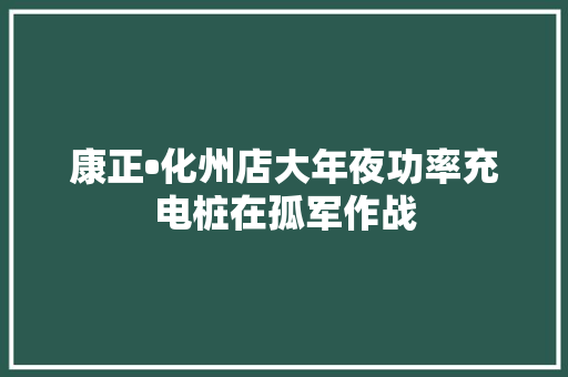 康正•化州店大年夜功率充电桩在孤军作战