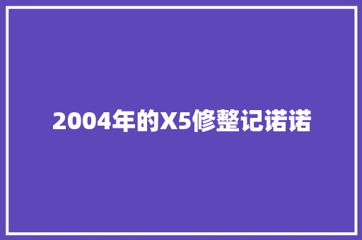 2004年的X5修整记诺诺