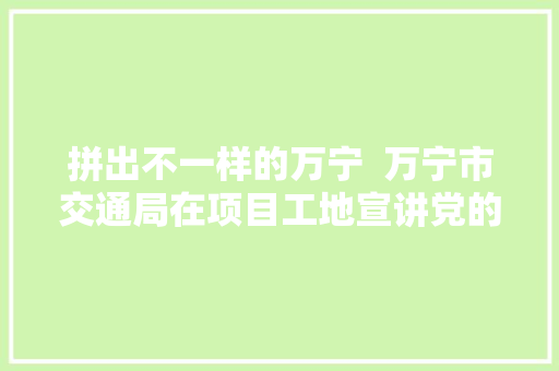 拼出不一样的万宁  万宁市交通局在项目工地宣讲党的二十大年夜精神 加快推进国道大年夜茂长丰改建工程培植