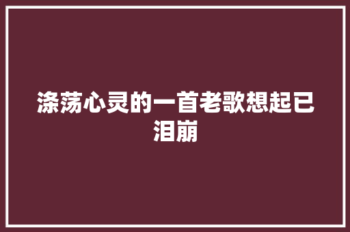涤荡心灵的一首老歌想起已泪崩