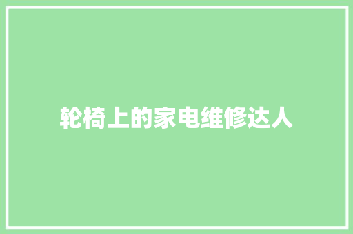 轮椅上的家电维修达人