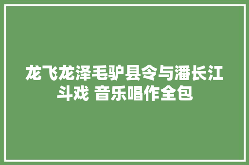 龙飞龙泽毛驴县令与潘长江斗戏 音乐唱作全包