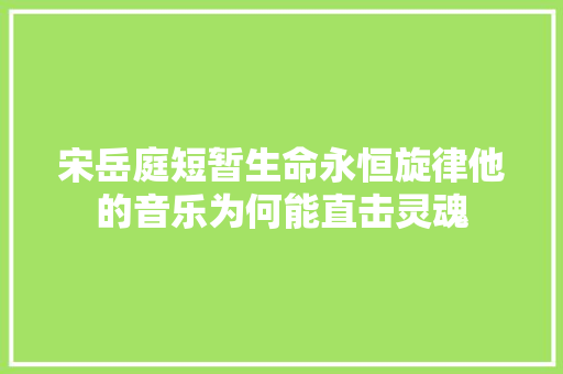 宋岳庭短暂生命永恒旋律他的音乐为何能直击灵魂