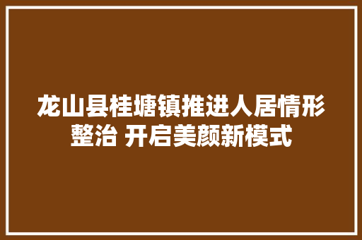龙山县桂塘镇推进人居情形整治 开启美颜新模式