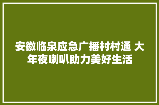 安徽临泉应急广播村村通 大年夜喇叭助力美好生活 汽车知识