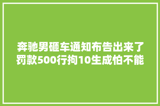 奔驰男砸车通知布告出来了罚款500行拘10生成怕不能回家过年了
