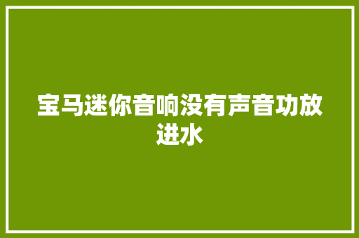 宝马迷你音响没有声音功放进水