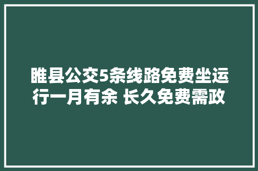睢县公交5条线路免费坐运行一月有余 长久免费需政府资金支持