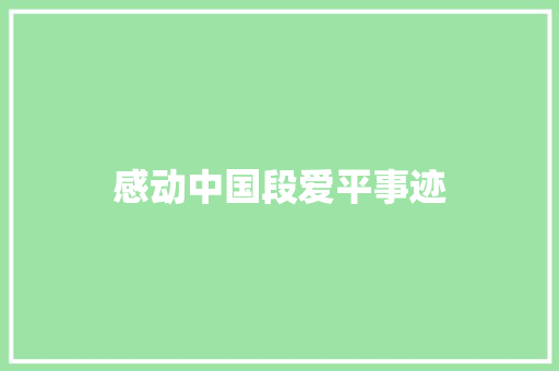 感动中国段爱平事迹 知识百科