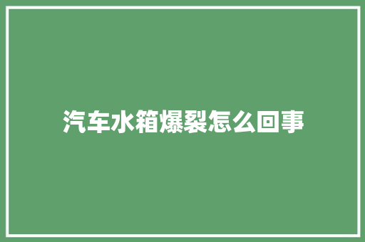 汽车水箱爆裂怎么回事