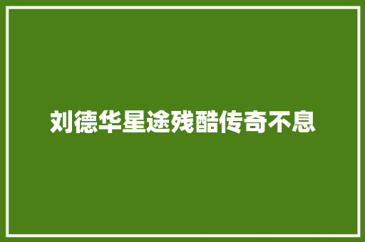 刘德华星途残酷传奇不息