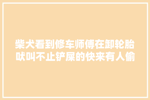 柴犬看到修车师傅在卸轮胎吠叫不止铲屎的快来有人偷轮胎