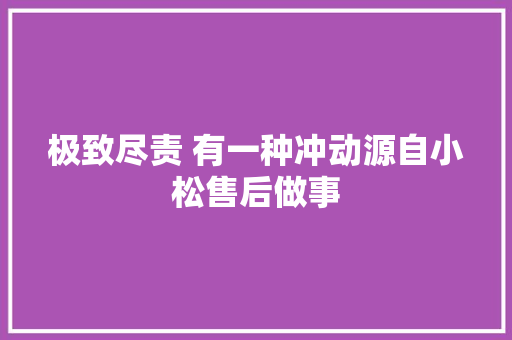 极致尽责 有一种冲动源自小松售后做事