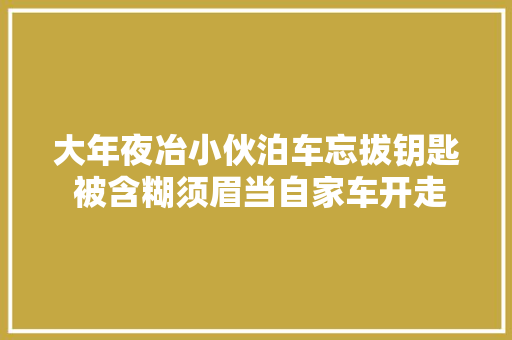 大年夜冶小伙泊车忘拔钥匙 被含糊须眉当自家车开走
