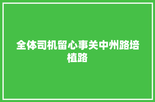 全体司机留心事关中州路培植路