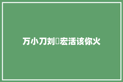 万小刀刘畊宏活该你火