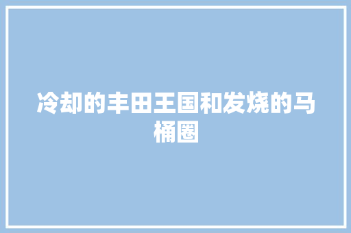 冷却的丰田王国和发烧的马桶圈