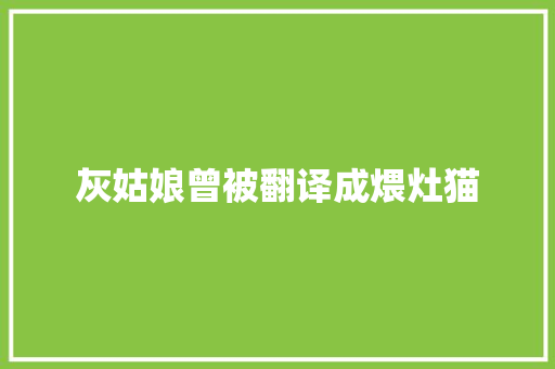 灰姑娘曾被翻译成煨灶猫