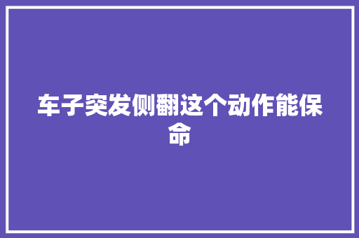车子突发侧翻这个动作能保命