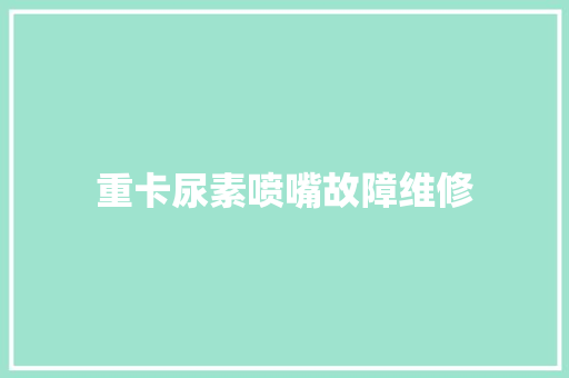 重卡尿素喷嘴故障维修