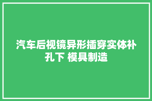 汽车后视镜异形插穿实体补孔下 模具制造