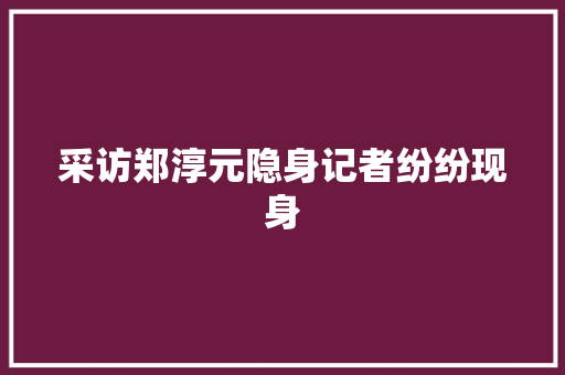 采访郑淳元隐身记者纷纷现身
