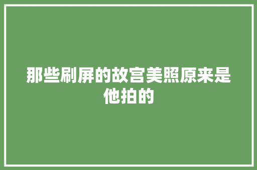 那些刷屏的故宫美照原来是他拍的